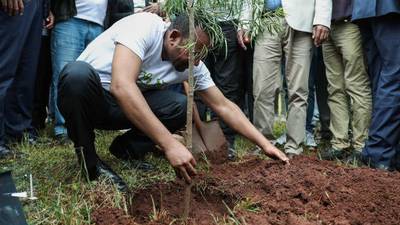 Ethiopia plants about 350 million trees in a single day