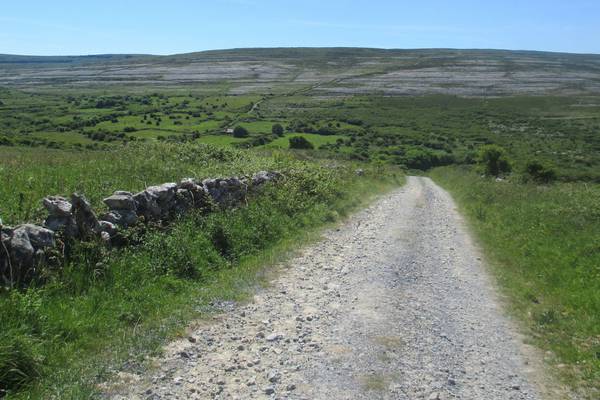 Walking the Burren in Co Clare is a beautiful odyssey through a stony place