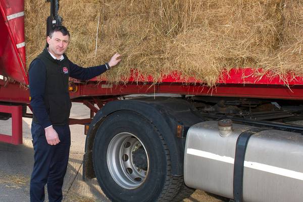 Thousands of tonnes of fodder to be delivered to Ireland