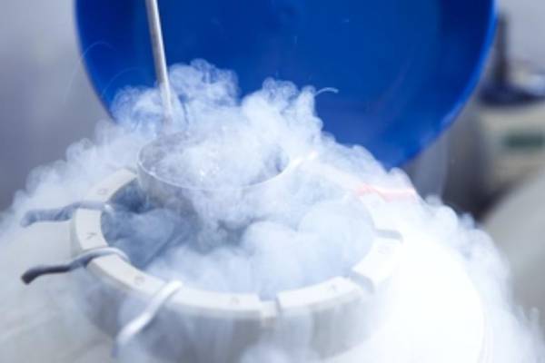 ‘Sobering’ study shows age matters when freezing eggs