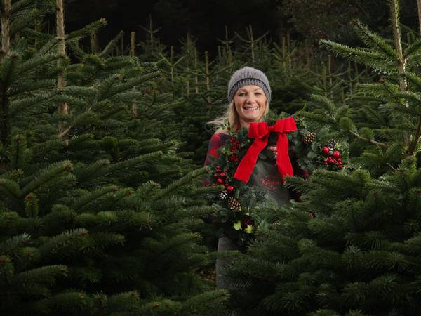 What I Do: Karen Morton is a Christmas tree farmer