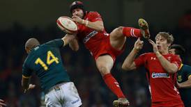Leigh Halfpenny kicks Wales to victory over South Africa