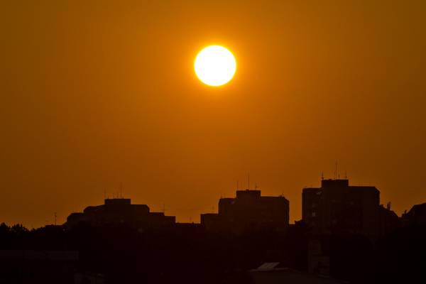 2019 was second hottest year on record, scientists say