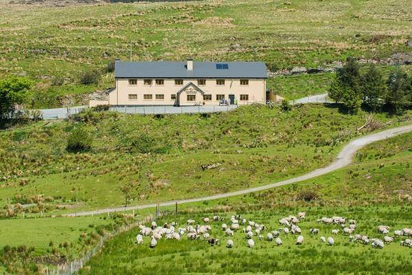 Patrons of Ireland’s highest pub travel to see Kerry back on top