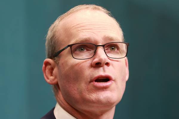 Goods moving between Britain and North will require checking - Coveney