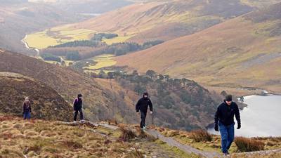 Luggala peatlands to undergo restoration to support carbon capture and biodiversity