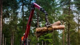 Farmers and foresters demand action on timber crisis