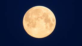 Lunar lockdown: 2020’s last supermoon to light up Irish skies