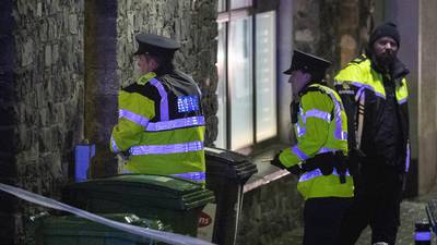 Victim of Co Kildare fatal stabbing is named as gardaí question man