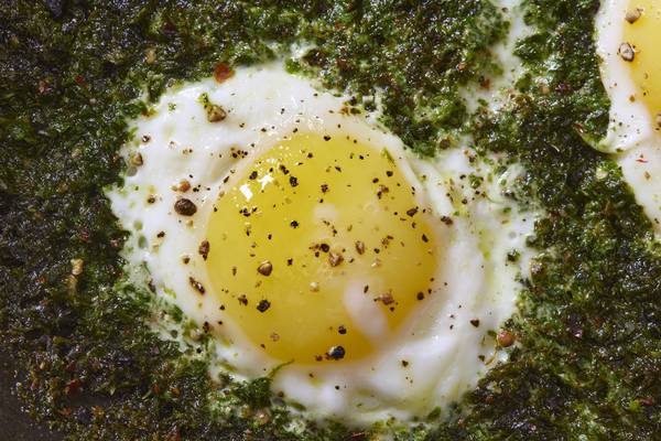 Pesto eggs are the new smashed avocado. But are they as nice?