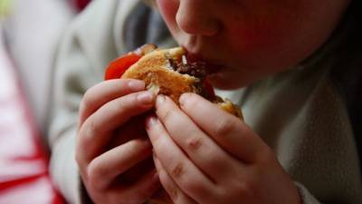 Almost a third of Irish children are now overweight – study