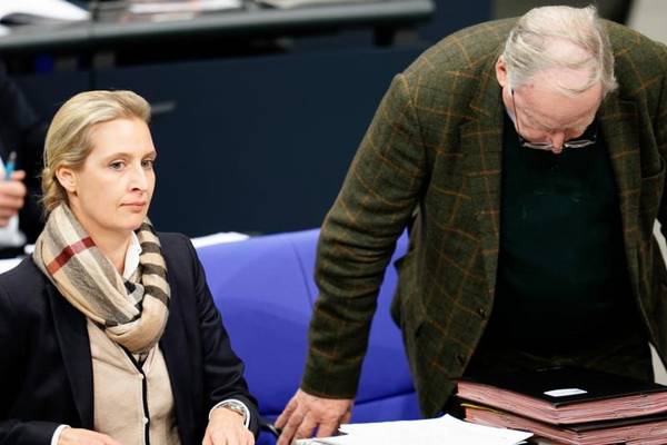 German state governments demand surveillance of far-right AfD