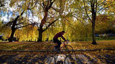 Gardaí conducting Grand Canal patrols after attacks on cyclists