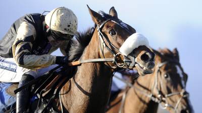 Tidal Bay handed top weight for Grand  National
