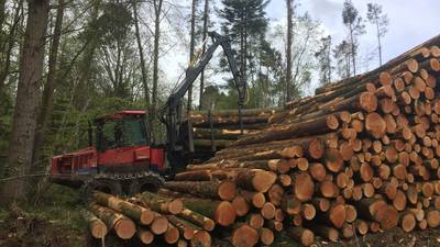 Forestry investment blossoming in face of data dearth