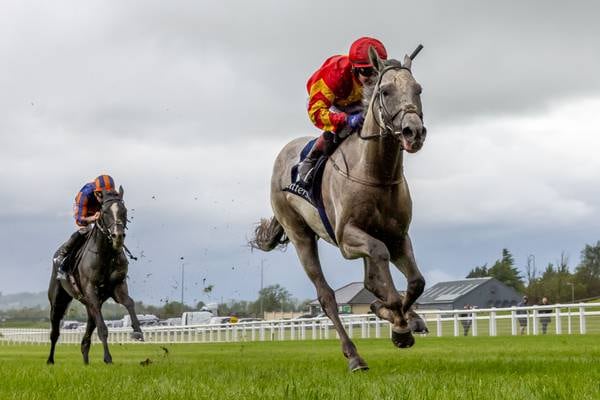 Auguste Rodin proves powerless to resist White Birch at the Curragh 