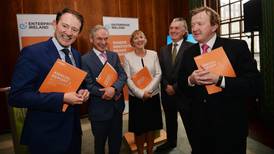 Enterprise Ireland approved €27.2m for firms with links to board