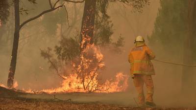 Australia bushfires: Anger in the village that ran out of water