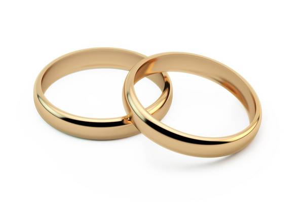 Weddings should be allowed have 50 guests from July 5th, Seanad hears