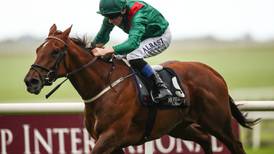 St Mark’s Basilica and Tarnawa on course for Leopardstown clash