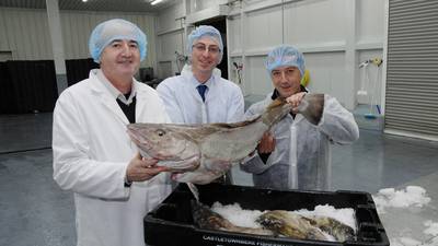 Future proof: Castletownbere Fishermen’s Co-operative Society