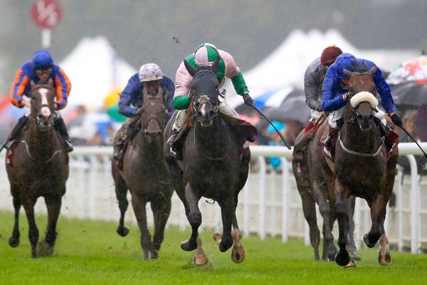 Here Comes When lands 20-1 surprise in soft-ground Sussex Stakes
