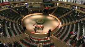 Will sparks fly again at Goffs sale?