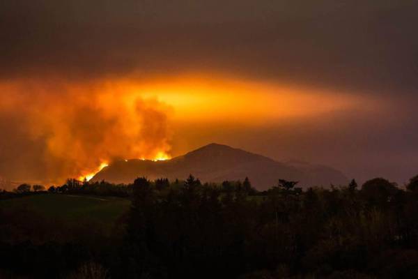 Hundreds of acres of forest burned and wildlife incinerated in Kerry fire