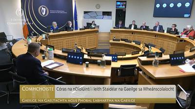 Ceisteanna faoi chóras na ndíolúintí ón nGaeilge ag dul i méid