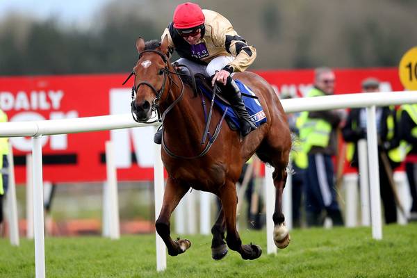 Mullins in pursuit of fifth French Champion Hurdle with Shaneshill