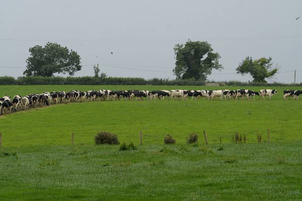 Cutting national herd to reduce emissions a ‘lazy narrative’, says IFA