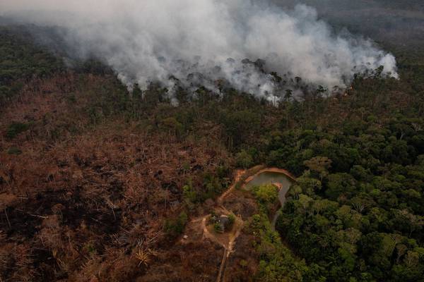 ‘There’s no need for all this outrage.’ Many in the Amazon defiant over fires