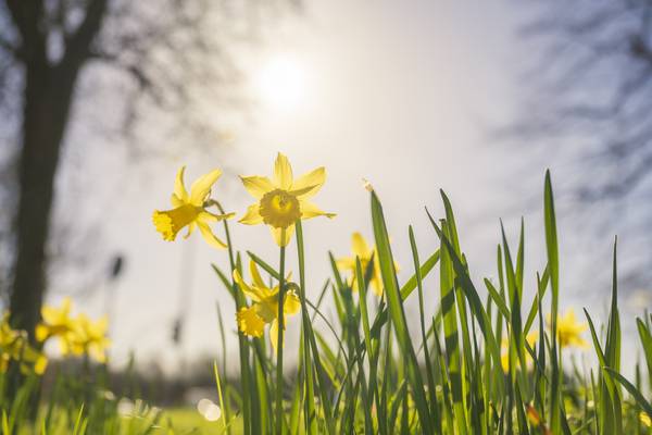 April was drier and sunnier than average