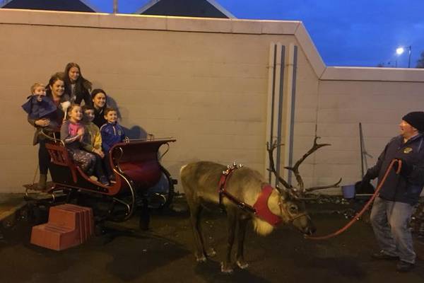 Christmas cheer comes to a former Belfast parades flashpoint