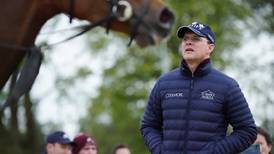 Coolmore and horse trainer Aidan O’Brien sue Glanbia over contaminated feed