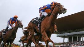 Love has five to conquer in Saturday’s Ascot King George