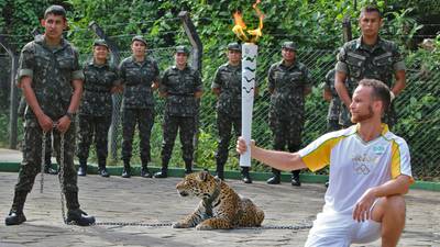 Jaguar shot dead after Olympic torch ceremony in Brazil