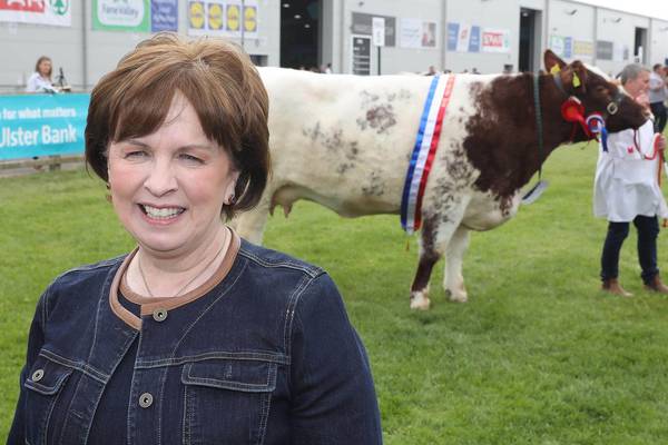 MEP candidates keep calm and carry on canvassing at Balmoral Show