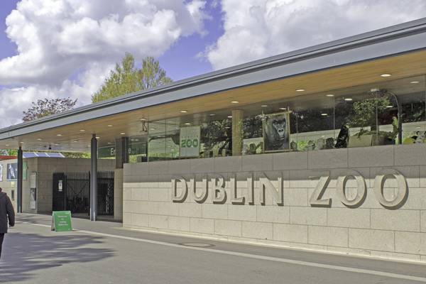 Covid-19: Dublin Zoo and Fota Wildlife Park to get €3m in State aid