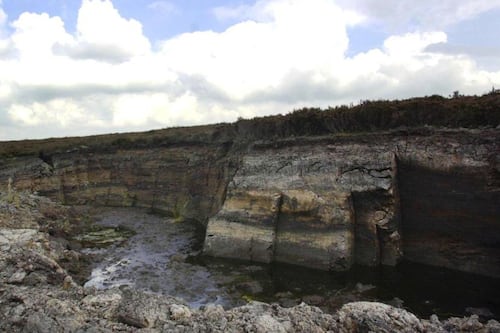 The bog issue and why it was important in the byelection