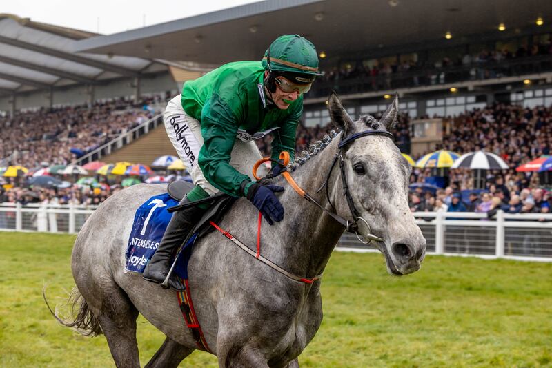 Intense Raffles should not be overlooked for the Aintree Grand National. Photograph: Morgan Treacy/Inpho