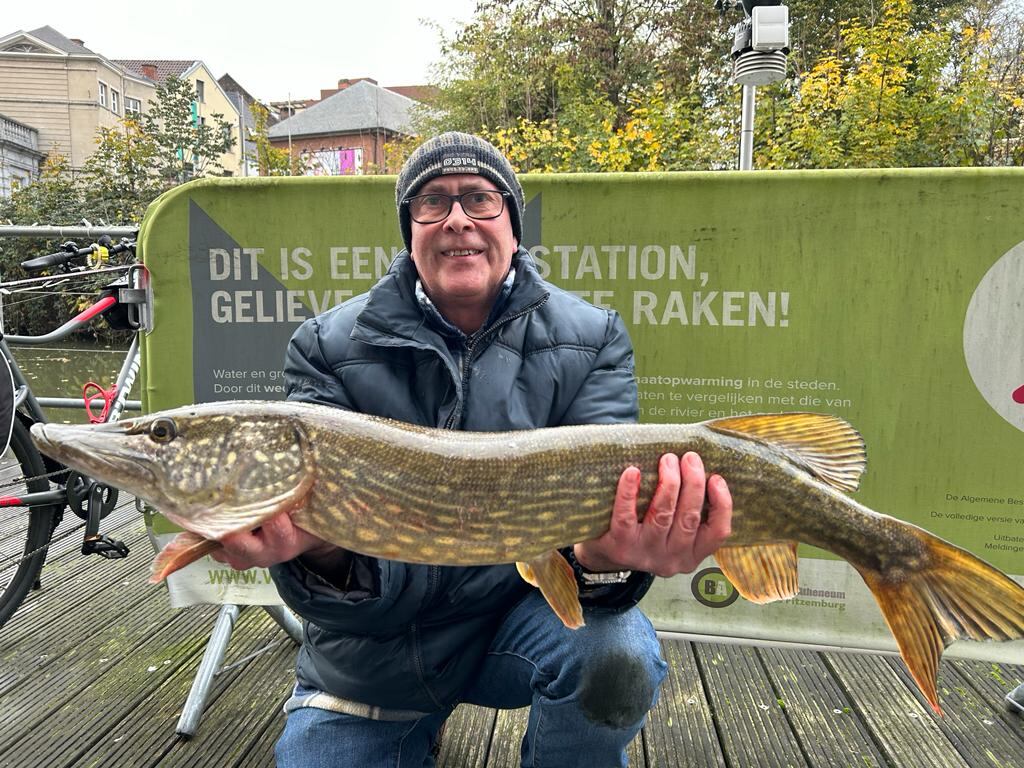 Streetfishing from the River Dijle in Brussels produced this magnificent pike for Karl Heylen