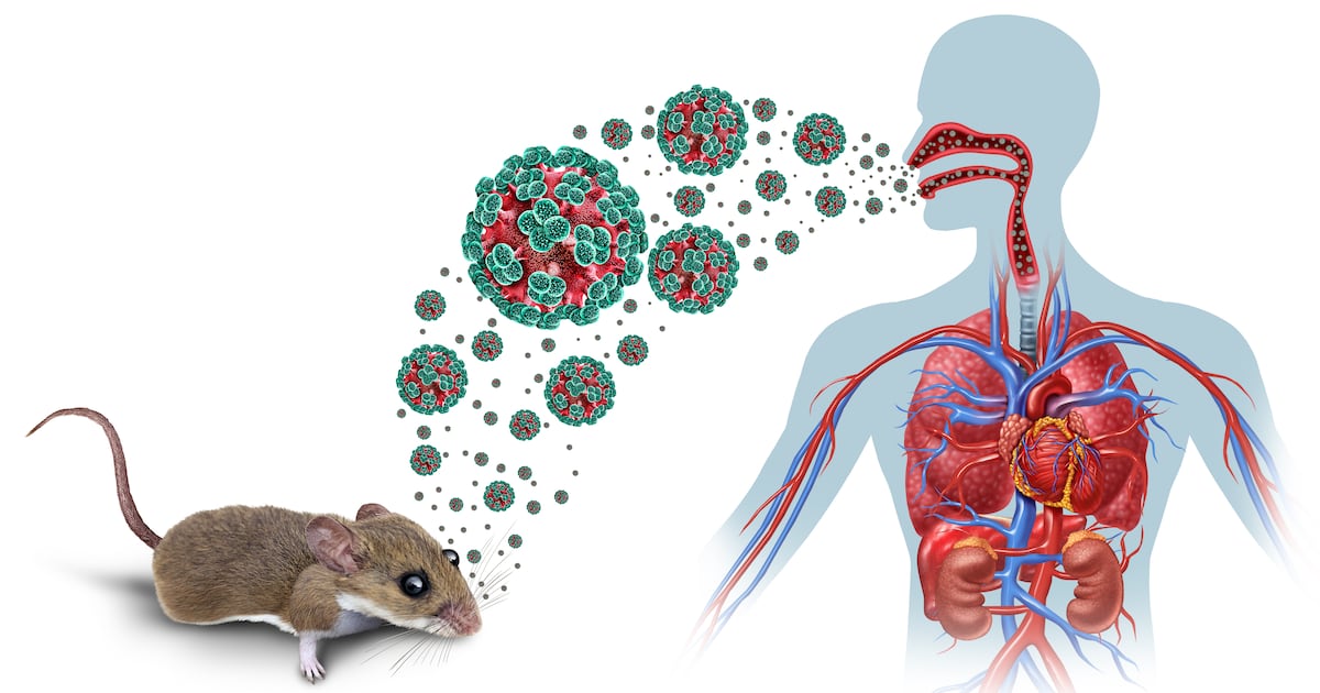 Dr Muiris Houston: Hantavirus is not new, so why has the recent outbreak caused such anxiety?