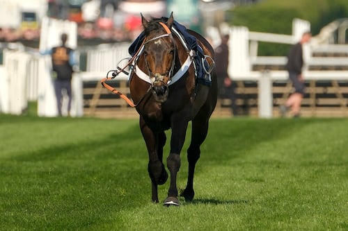 What now for Constitution Hill? One of horse racing’s finest faces a tough decision