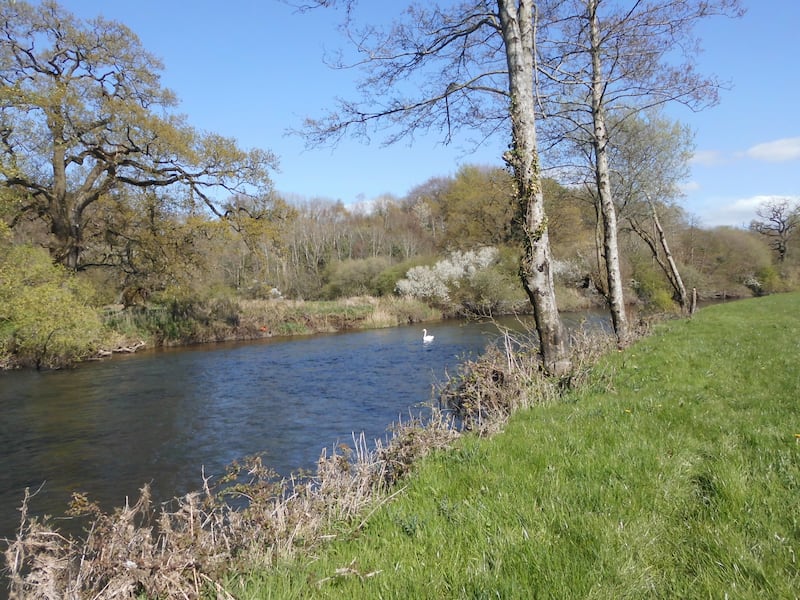 Leafy Loop, river Nore. Photograph: John G O'Dwyer