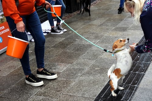 Digital donations reshaping fundraising, but street collections haven’t kicked the bucket