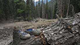 Indian forces kill three Pakistanis behind Kashmir attack, minister says