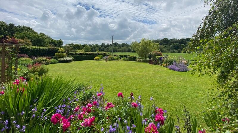 Back garden