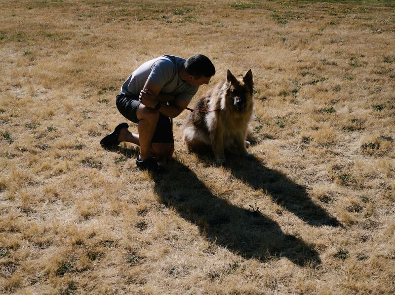 Matt Kaeberlein, a co-founder of the Dog Aging Project, and his 12-year-old German Shepherd Dobby. Photograph: Grant Hindsley/The New York Times
