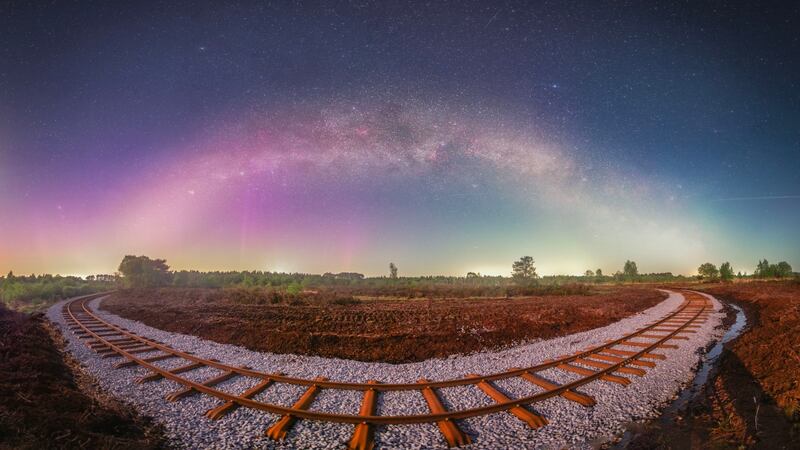Symmetry, by Anthony Lynch, winner of the Public Choice award